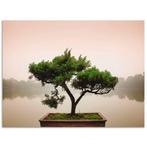 Artland Artprint Chinese bonsaiboom als artprint van, Verzenden, Nieuw
