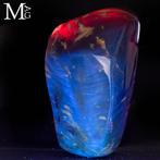 Fossiele barnsteenmonster uit Sumatra - Zeldzaam exemplaar, Verzamelen