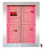 Gekleurde LEDs 4x A4 informatiedisplay| RVS | 59,5(b) x..., Verzenden, Nieuw in verpakking