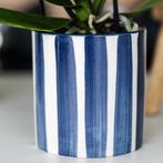 Kolibri Company | Plantenset Mediterranean Sunset | Witte Ph, Verzenden, Nieuw