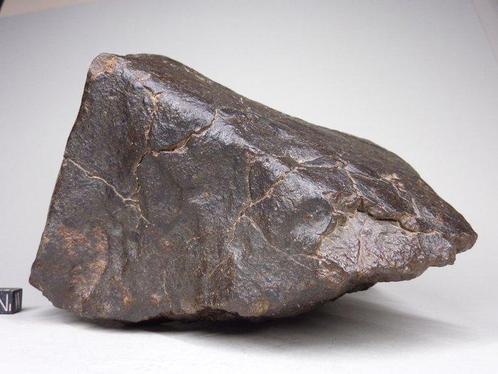 NWA niet-geclassificeerde Sahara Steen meteoriet 18 cm -, Verzamelen, Mineralen en Fossielen
