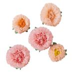 Pompons Bloemen Papier 5st, Hobby en Vrije tijd, Verzenden, Nieuw