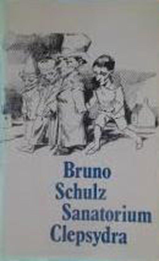 Sanatorium clepsydra 9789029012522 Schulz, Boeken, Overige Boeken, Gelezen, Verzenden