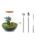 DIY terrarium - Bolder Bob Bonsai -  30 cm - Rake + Shovel, Verzenden