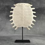 Geen reserveprijs - Indrukwekkende Chinese zachte, Antiek en Kunst