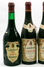 Lamberti: Amarone 1965 x2, Valpolicella 1966 x3 - Veneto - 5, Nieuw