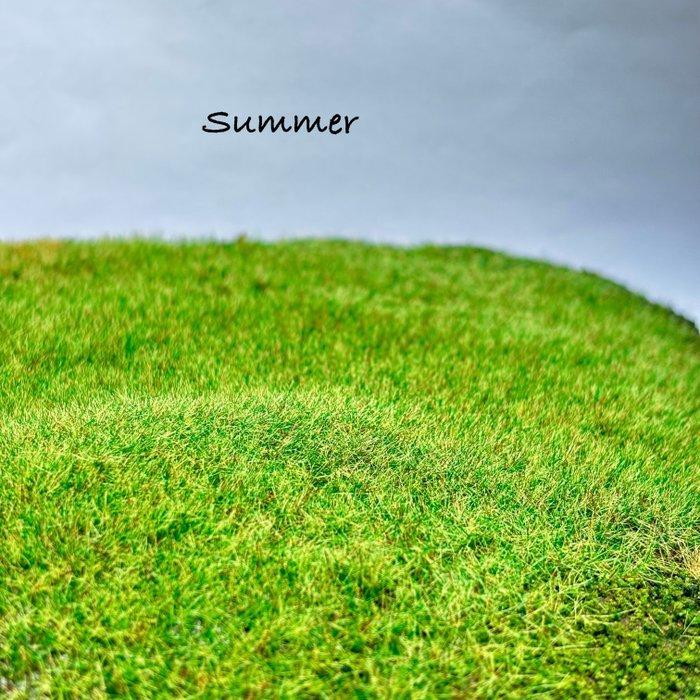 Grote partij 2,8 liter statisch gras voor, Hobby en Vrije tijd, Modeltreinen | H0