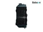 Radiateur Honda NX 250 Dominator 1988-1993 (NX250), Motoren, Verzenden, Gebruikt