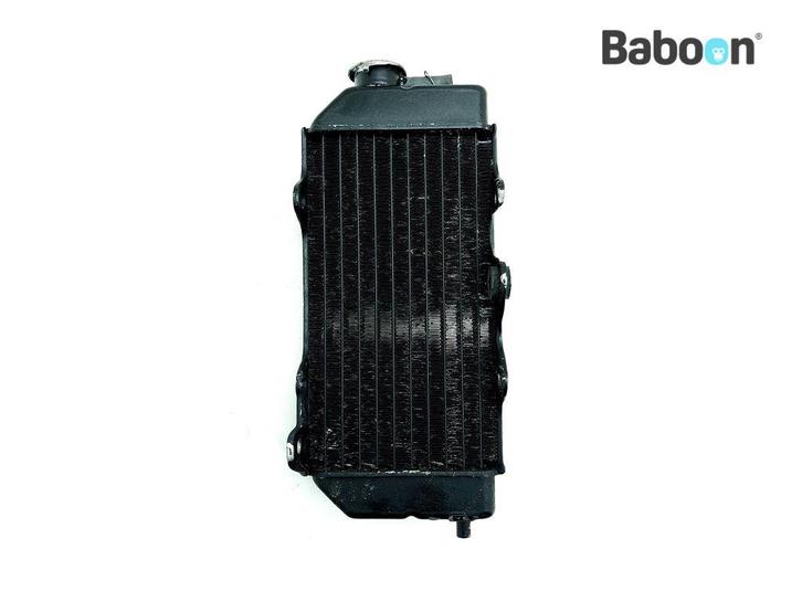 Radiateur Honda NX 250 Dominator 1988-1993 (NX250), Motoren, Onderdelen | Honda, Gebruikt, Verzenden