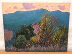Rafael Salvá Balaguer (1904- ?) - Paisaje mallorquín