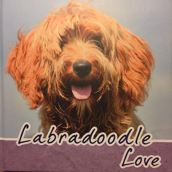 Labradoodle Love, Boeken, Overige Boeken, Ophalen of Verzenden