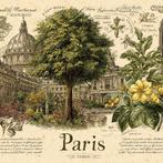 I_KONIQ - Paris vintage memories