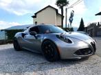 Alfa Romeo 4C Carbon Fiber Side Skirts, Verzenden
