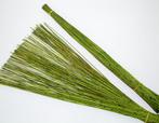 Vleireet koffieriet appelgroen mikado 400gram 80cm., Ophalen of Verzenden, Nieuw