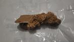 zandroos - Gefossiliseerde schelp - 11 cm - 5 cm (Zonder