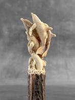 Snijwerk, NO RESERVE PRICE - Stunning Dolphins carving from, Antiek en Kunst