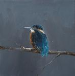 Matthieu van Riel - IJsvogel, nacht