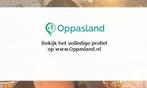 Ik ben Chayenne, 18 jaar oud en ik zoek oppaswerk in Gron..., Diensten en Vakmensen, Oppas en Kinderopvang