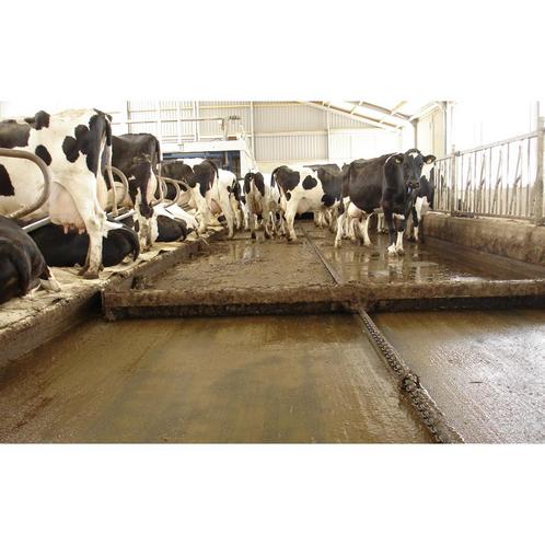 Combischuif 251-300 cm Spinder, Dieren en Toebehoren, Runderen