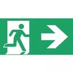 Famostar D-bord Pictogram Noodverlichting - 393775, Verzenden, Nieuw, Overige typen