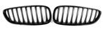 BMW Z4 E89 M Performance Nieren Grill Origineel B2049, Nieuw, Voor, BMW