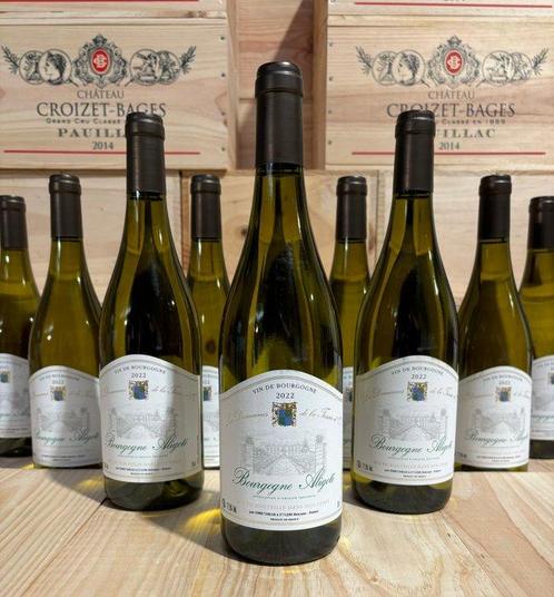 2022 Domaine de la Tassée D’Or Bourgogne Aligoté - Bourgogne, Verzamelen, Wijnen
