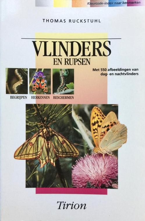 VLINDERS EN RUPSEN 9789052102047 T. Ruckstuhl, Boeken, Wetenschap, Zo goed als nieuw, Verzenden