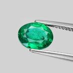 1 pcs Groen Smaragd - 2.04 ct - nternational Colored, Nieuw