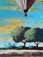Claudio Rolfi (1960) - Volo sereno in due