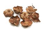 Coco flower Naturel 250 gram, Hobby en Vrije tijd, Knutselen, Ophalen of Verzenden, Nieuw