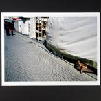 Frank Machalowski - Market Calm, Antiek en Kunst