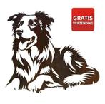 Tuindecoratie Liggende bordercollie | 81.3 cm x 69.3 cm, Verzenden, Nieuw