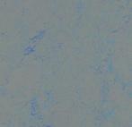Forbo Marmoleum Concrete 3734 blue shimmer, Nieuw, Verzenden