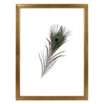 Fotolijst Dubbelglas 20x30 Tropez, Nieuw