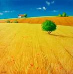 Roberto Mauri (1977) - Campi Dorati allAlba