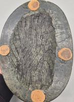 Grand Tour - Italian Boar & Lion Green Serpentine Desk