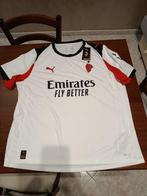 AC Milan - Italiaanse voetbal competitie - 2025 -, Nieuw