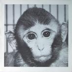 12 inch gebruikt - Gert Haucke - ...Und Sehn Uns An, Bis..., Verzenden, Zo goed als nieuw