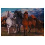 Poster 3D - Paarden Wit & Zwart & Bruin - Plakstrip - 24,5x3, Verzamelen, Posters, Ophalen of Verzenden, Nieuw