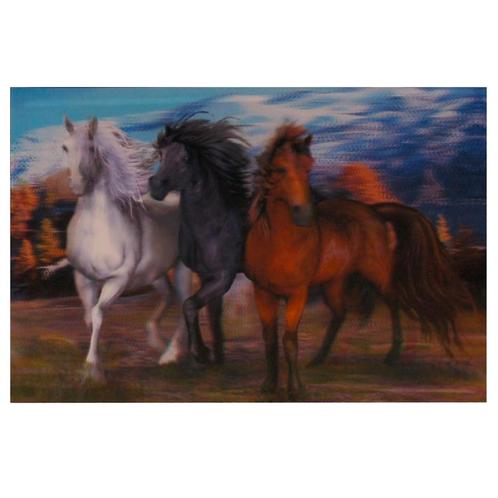 Poster 3D - Paarden Wit & Zwart & Bruin - Plakstrip - 24,5x3, Verzamelen, Posters, Nieuw, Ophalen of Verzenden