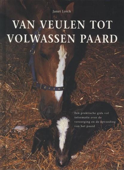 Van veulen tot volwassen paard | 9789059203624 | LORCH,  J., Boeken, Hobby en Vrije tijd, Zo goed als nieuw