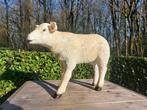 Beeld, life size and a lifelike (Texel lamb) - 43 cm -