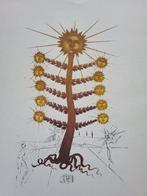 Salvador Dali (1904-1989) - Arbre Soleil, Antiek en Kunst