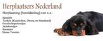 Onze Facebook pagina Herplaatsers Nederland is geh a cked!, Particulier, 3 tot 5 jaar, Geslacht onbekend, Dwerg