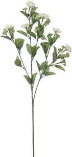 Bessentak Wit Tina Kunstbloem 70 cm per stuk, Ophalen of Verzenden, Nieuw