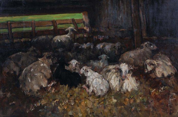 Willem Hendrik van der Nat (1864–1929) - Schapen in stal, Antiek en Kunst, Kunst | Schilderijen | Klassiek