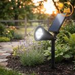 Solar grondspot 2 watt met spies - 6000K daglicht wit, Zonne-energie, Kunststof, Nieuw, Ophalen of Verzenden