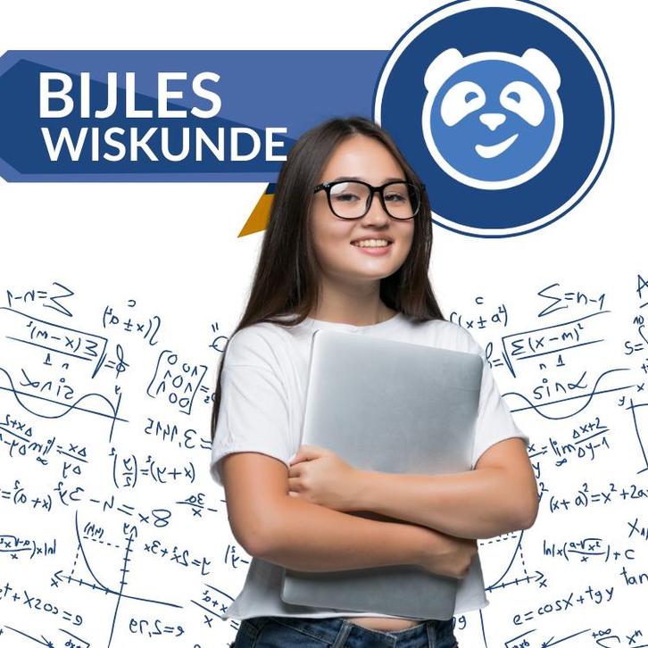 Examentraining Wiskunde B (HAVO/VWO) – Haarlem, Diensten en Vakmensen, Bijles, Privé-les en Taalles, Bijles, Privéles