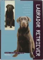 Labrador Retriever. Aanschaf, verzorging, voeding, fokken, Boeken, Verzenden, Zo goed als nieuw, E. Verhoef-Verhallen