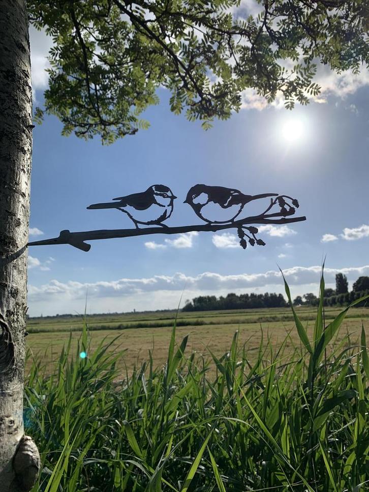 Tuindecoratie Pimpel en Koolmees op tak | 30.0 cm x 7.5 cm, Tuin en Terras, Tuinwanddecoratie, Verzenden